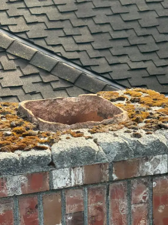 Moss growing on the crown around a worn clay flue tile, with shingles behind