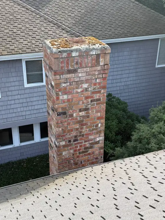 Tall brick chimney with a mossy crown and white staining on the brick