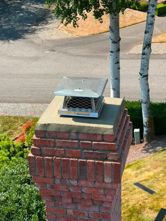 Stainless steel cap on a new crown above red brick, with birch trees beside the street
