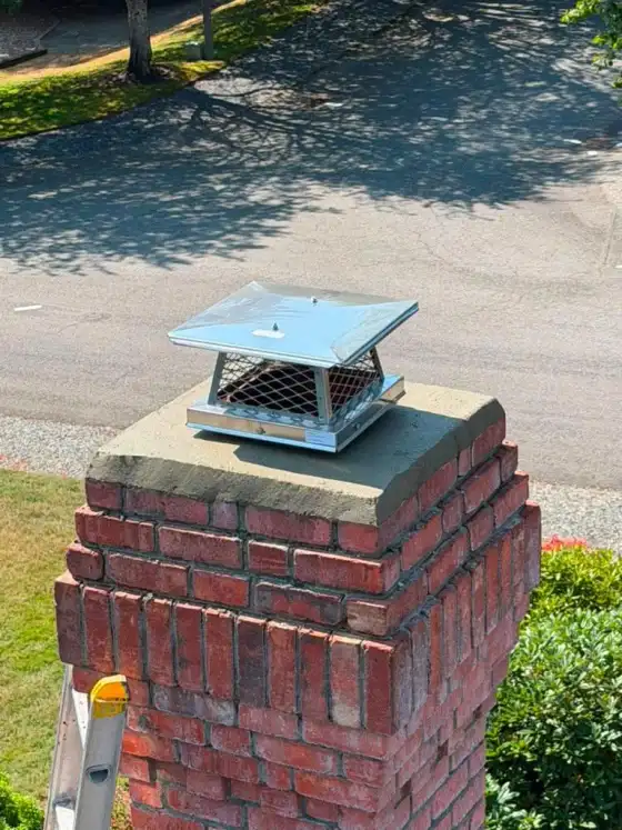Close view of a stainless steel cap on a new gray crown above a corbelled brick chimney, with a street below