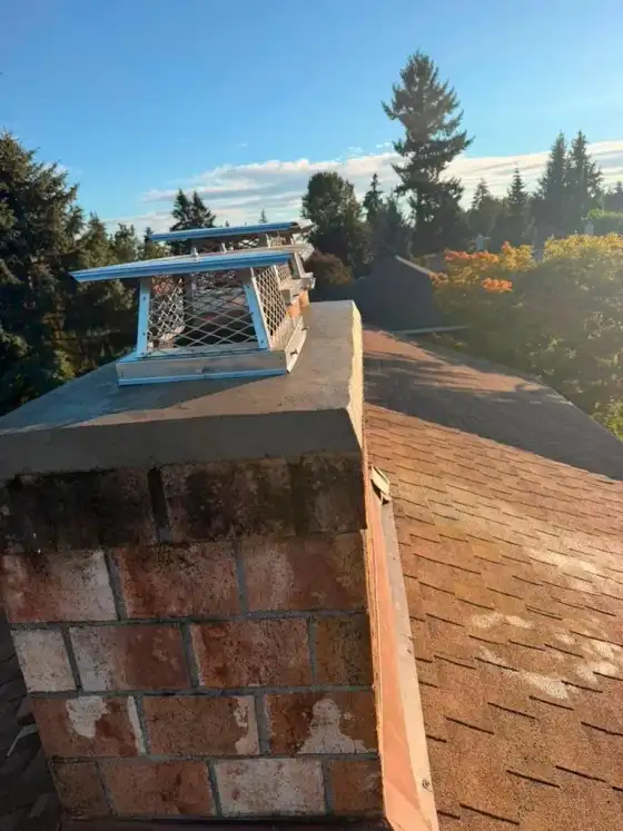 Stainless steel cap with a blue tint on a new crown above weathered brick