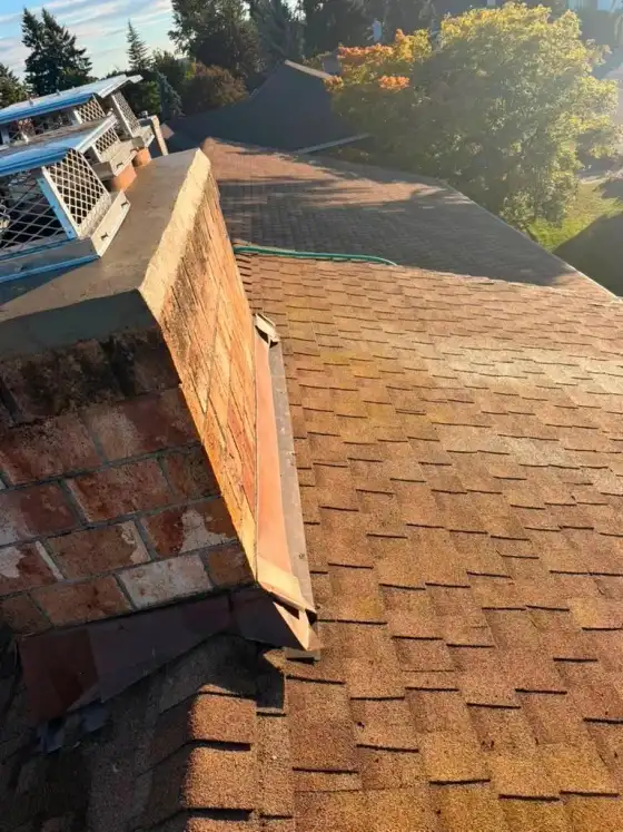 Stainless steel caps seen above a new copper-colored flashing at the edge of the crown