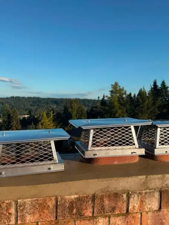 Three stainless steel mesh caps on a new tan crown with a wide view of treetops behind
