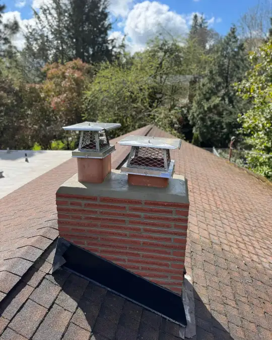 Two-flue brick chimney with a freshly finished crown and two stainless steel caps on a shingle roof